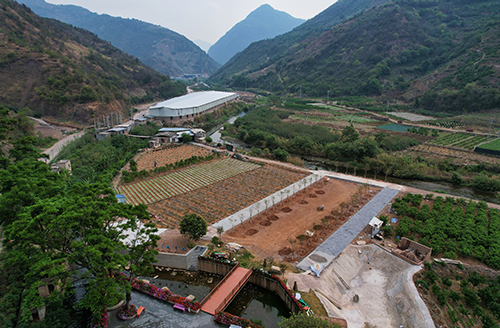 華寧：聯(lián)農(nóng)帶農(nóng)促增收 鄉(xiāng)村振興正當時4.jpg