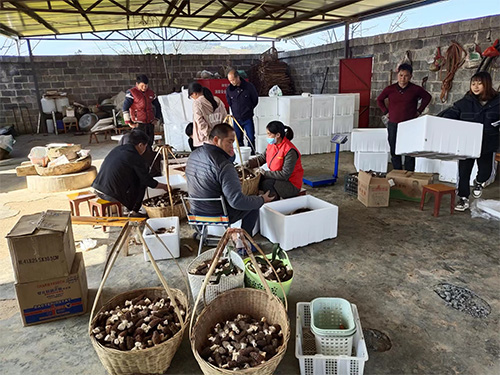 大西村民共奔致富路.jpg 大西村民共奔致富路.jpg