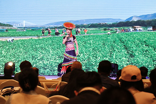 吸引更多人旅居玉溪 感受“有一種叫云南的生活”.jpg