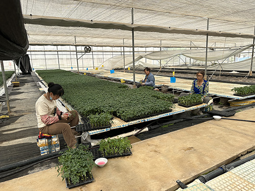 發展現代高效農業農戶集體雙增收.jpg 發展現代高效農業農戶集體雙增收.jpg