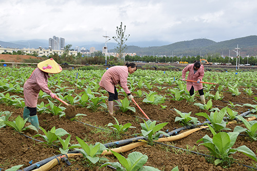梅營社區:就業在“幸福里” 生活在幸福里.jpg 梅營社區:就業在“幸福里” 生活在幸福里.jpg
