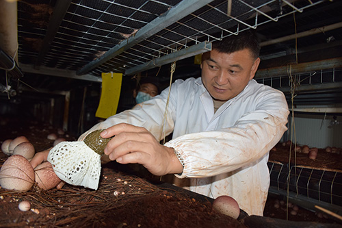 梅營社區:就業在“幸福里” 生活在幸福里1.jpg 梅營社區:就業在“幸福里” 生活在幸福里1.jpg