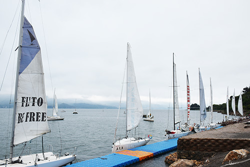 撫仙湖帆船拉起文體旅融合的風帆.jpg 撫仙湖帆船拉起文體旅融合的風帆.jpg