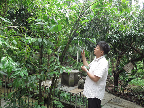 中國(guó)傳統(tǒng)村落里“重生”的網(wǎng)紅打卡樹(shù).jpg 中國(guó)傳統(tǒng)村落里“重生”的網(wǎng)紅打卡樹(shù).jpg