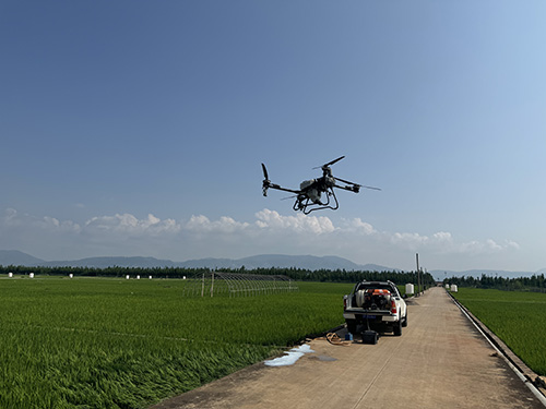 無人機“上崗”護航水稻豐產(chǎn).jpg