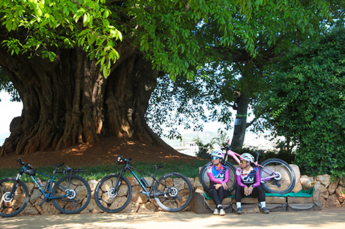 路居古榕,演繹人湖樹共生共榮千年神話.jpg 路居古榕,演繹人湖樹共生共榮千年神話.jpg