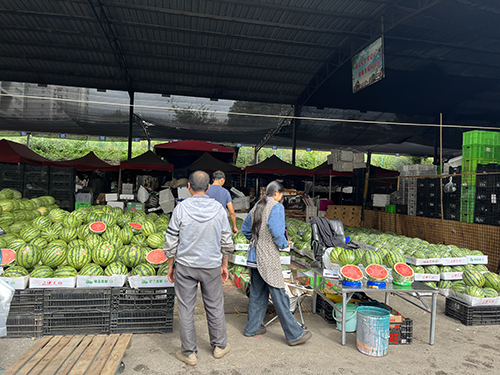 西瓜荔枝集中上市夏日“甜蜜模式”開啟.jpg 西瓜荔枝集中上市夏日“甜蜜模式”開啟.jpg