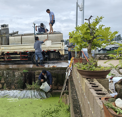 魚種發(fā)放活動(dòng)舉行.jpg 魚種發(fā)放活動(dòng)舉行.jpg