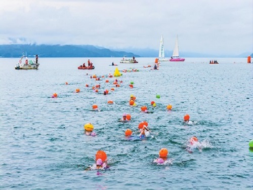 0500375.jpg 0500375.jpg