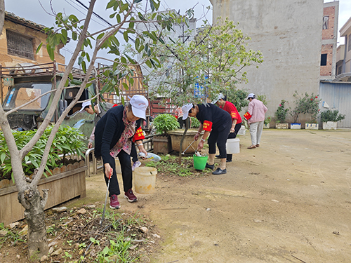 “銀發(fā)”助力社區(qū)人居環(huán)境整治.jpg