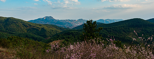 古詩中的寧州八景.jpg 古詩中的寧州八景.jpg