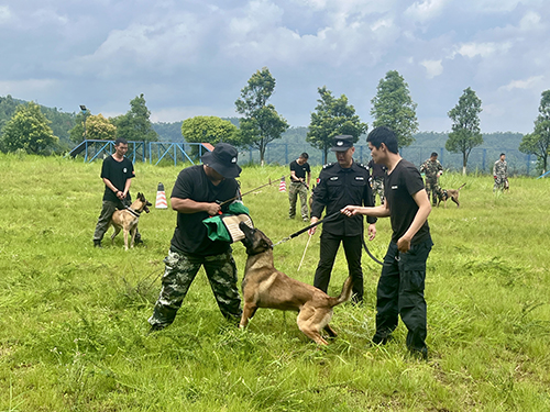 以犬為友護平安 薪火相傳鑄忠誠.jpg