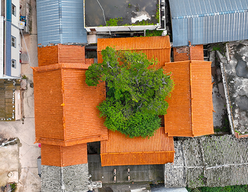 柏影暗藏古城時光密碼1.jpg 柏影暗藏古城時光密碼1.jpg