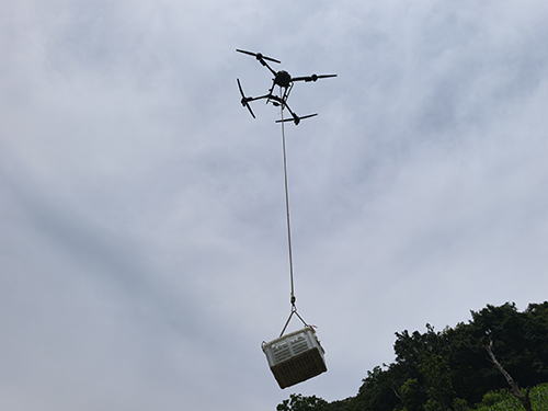 元江山地農業“飛”出新高度1.jpg 元江山地農業“飛”出新高度1.jpg