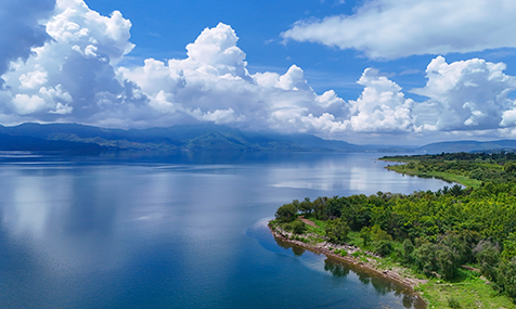 醉美撫仙湖 夏日消暑地.jpg
