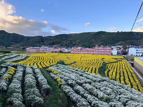 易門小街村走出基層治理特色路2.jpg 易門小街村走出基層治理特色路2.jpg