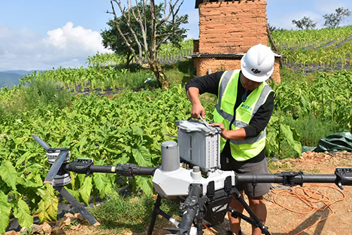 無人機助力羊街鄉煙葉采收.jpg 無人機助力羊街鄉煙葉采收.jpg