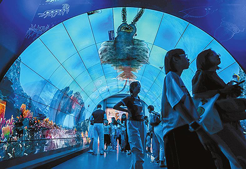 云南澄江:湖泊擁抱的化石小城1.jpg 云南澄江:湖泊擁抱的化石小城1.jpg