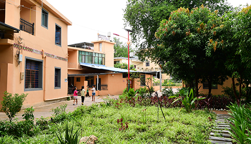 元江曼費村生態美產業興.jpg 元江曼費村生態美產業興.jpg