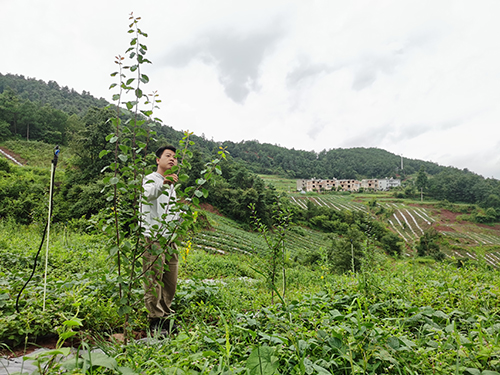 生態優先推進多元發展綠美助力實現富民興村1.jpg 生態優先推進多元發展綠美助力實現富民興村1.jpg