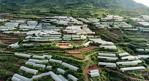 盤活土地興產業聯農帶農促增收.jpg 盤活土地興產業聯農帶農促增收.jpg
