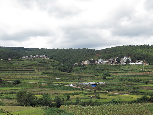 紅白事“瘦身” 文明風(fēng)拂面.jpg 紅白事“瘦身” 文明風(fēng)拂面.jpg