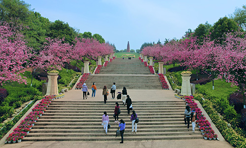 隨養老服務地圖 擇頤養天年去處1.jpg 隨養老服務地圖 擇頤養天年去處1.jpg