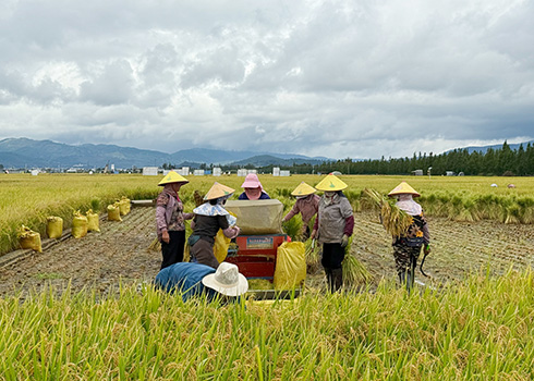 六一社區(qū)：稻花香里說(shuō)豐年 生態(tài)輪作譜新篇