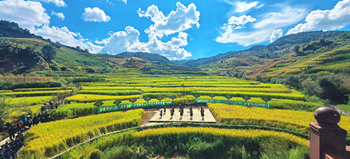 我市開展豐富多彩的農(nóng)民豐收節(jié)活動.jpg 我市開展豐富多彩的農(nóng)民豐收節(jié)活動.jpg