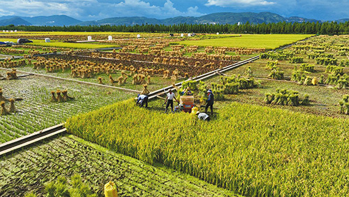 我市開展豐富多彩的農(nóng)民豐收節(jié)活動1.jpg 我市開展豐富多彩的農(nóng)民豐收節(jié)活動1.jpg