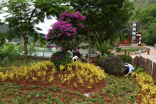 8萬余株花草扮靚綠汁鎮.jpg 8萬余株花草扮靚綠汁鎮.jpg