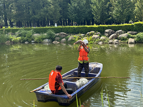 聶耳公園“怪魚”落網.jpg
