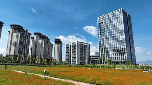 美麗花海引客來(lái).jpg 美麗花海引客來(lái).jpg