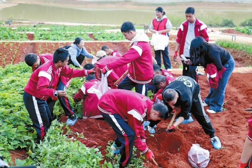 玉溪特校開展研學實踐活動.jpg 玉溪特校開展研學實踐活動.jpg