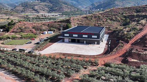 峨山油橄欖:鮮果榨出“金”效益.jpg 峨山油橄欖:鮮果榨出“金”效益.jpg