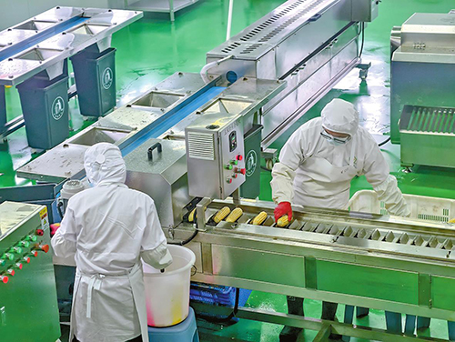 加工基地搭橋梁 玉溪蔬菜“鮮”到江浙滬.jpg