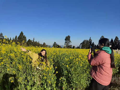 油菜花海醉游人.jpg 油菜花海醉游人.jpg