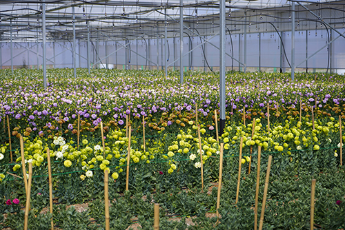 治杞麓湖生態難題 謀民生幸福之策.jpg