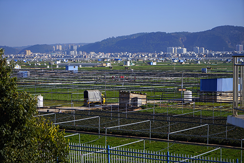 治杞麓湖生態難題 謀民生幸福之策3.jpg