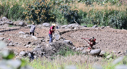 春耕備耕忙不負(fù)好時(shí)光.jpg 春耕備耕忙不負(fù)好時(shí)光.jpg