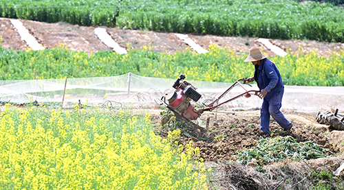 春耕備耕忙不負(fù)好時(shí)光1.jpg 春耕備耕忙不負(fù)好時(shí)光1.jpg