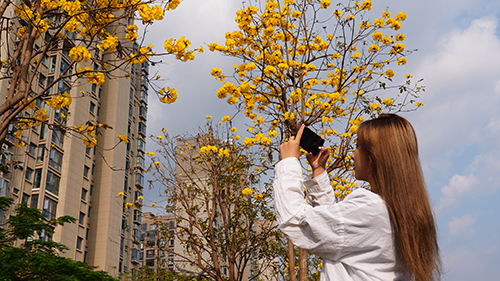 春日繁花開 美景入畫來.jpg