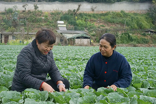 傳遞兩會(huì)“好聲音” 履職為民踐初心.jpg
