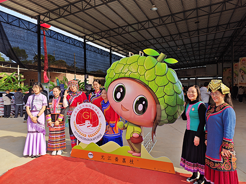 “三跑坡”種出“甜蜜果”1.jpg “三跑坡”種出“甜蜜果”1.jpg