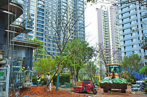 項目建設熱潮涌動.jpg 項目建設熱潮涌動.jpg