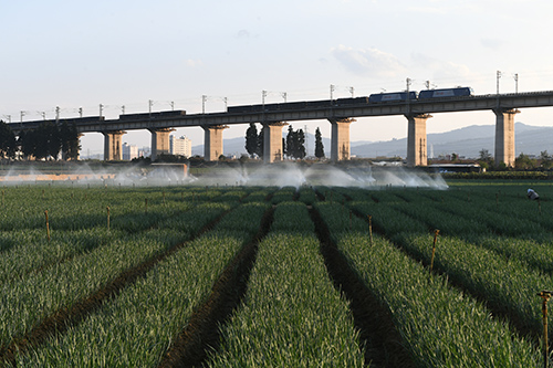 中老鐵路貨運忙.jpg 中老鐵路貨運忙.jpg